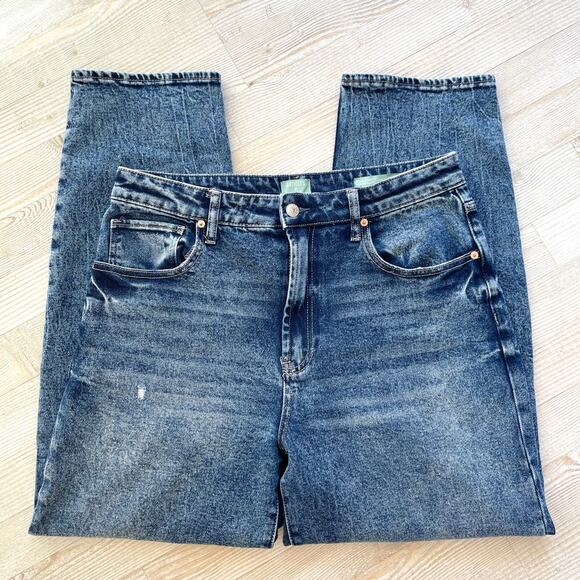 Articles of Society The Smith High Rise‎ Relaxed Jeans | Deep Lake Size 14 - Picture 1 of 9